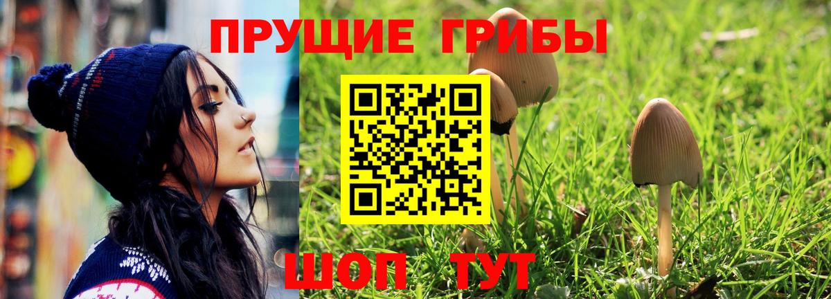 Галлюциногенные грибы Psilocybe  Псилоцибиновые грибы Magic Shrooms  Чита  Вход с VPN 
